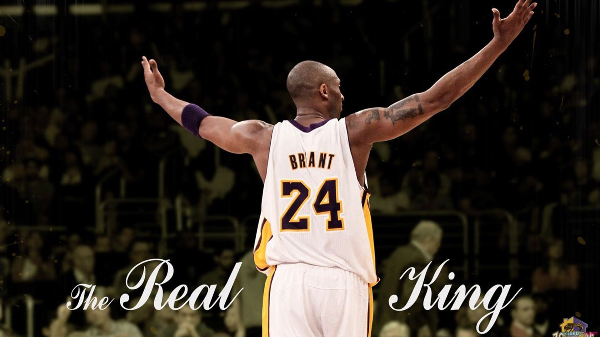 开云体育h5-职业联赛中本土球员表现分析，国内职业联赛